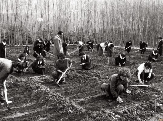 Bolu Kız Köy Enstitüsü (1)