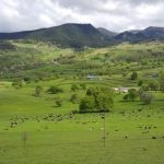 20160520_143756-600x338