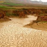 575880b96808052c814a91350b2c98c3