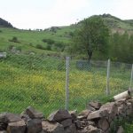 FB_IMG_1476255696216