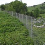 FB_IMG_1476255703341