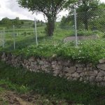 FB_IMG_1476255724787