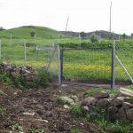 FB_IMG_1476255734466