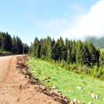 Yeşil Yol Projesi 3