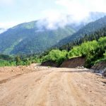 Yeşil Yol Projesi 5