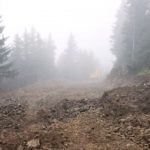 Yeşil Yol Projesi 6