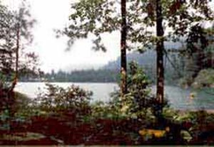 7f5030ec-6879-46ab-8172-57b353724769