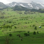 ÇAVDARLI KÖYÜ MAYIS 2012