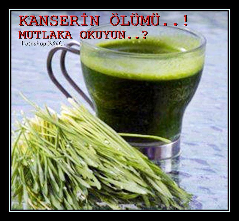 251640_10151240603417442_1281249066_n