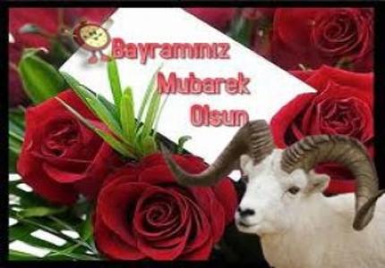 260920131257107356972_2