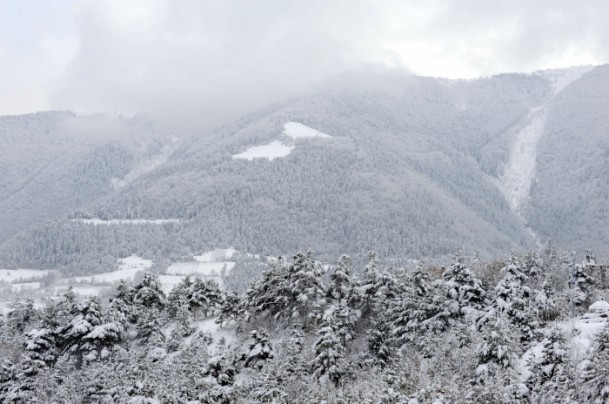 12d6b5e5a791029b893bf3f08733aec2.jpg.thumb_700