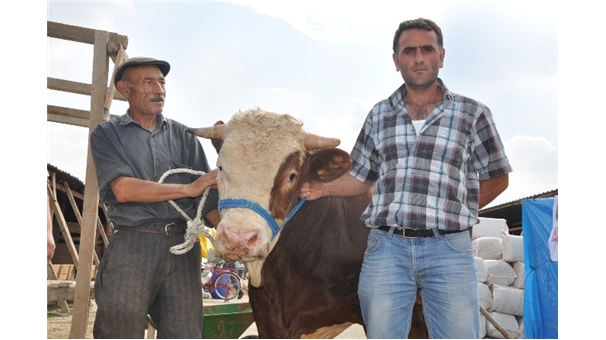 otomobil-fiyatina-gitti-4784072